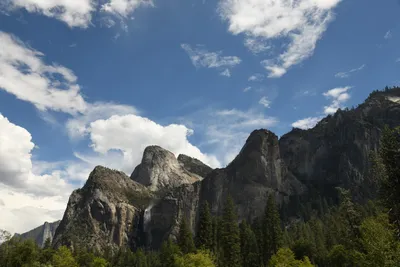 DSC_4363 (Large).JPG